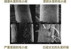 防晒霜哪个品牌好用洗发水(防晒霜哪个牌子的防晒防水果好)