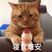 猫咪用哪个品牌的防晒霜(猫猫沐浴露哪个牌子好)